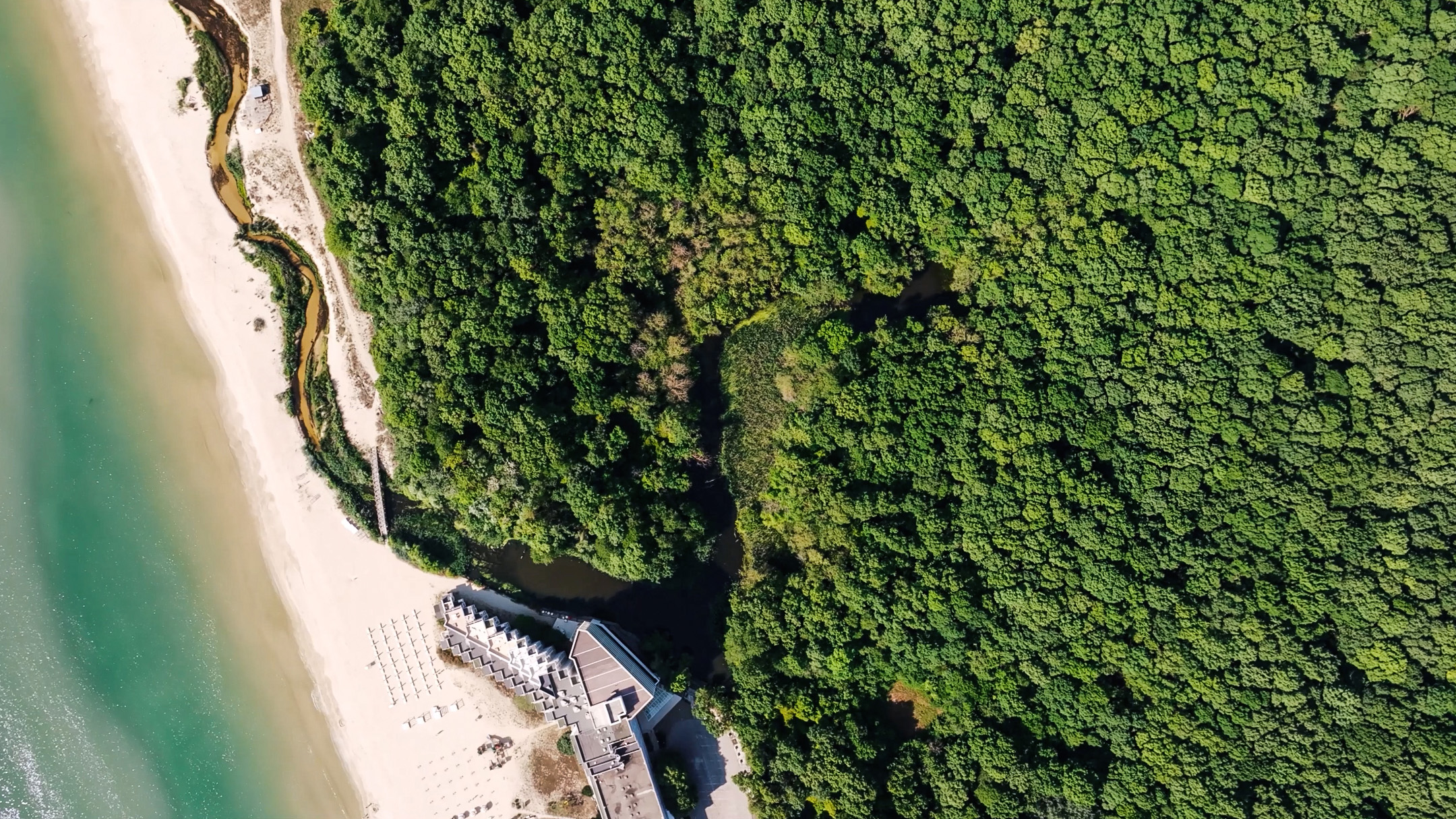 Fields Behind the Beach – From farm to plate, from sun to power