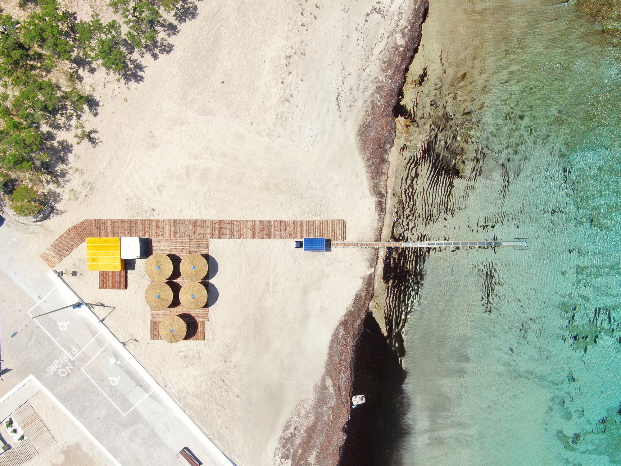 The Sea for All – A swim made possible