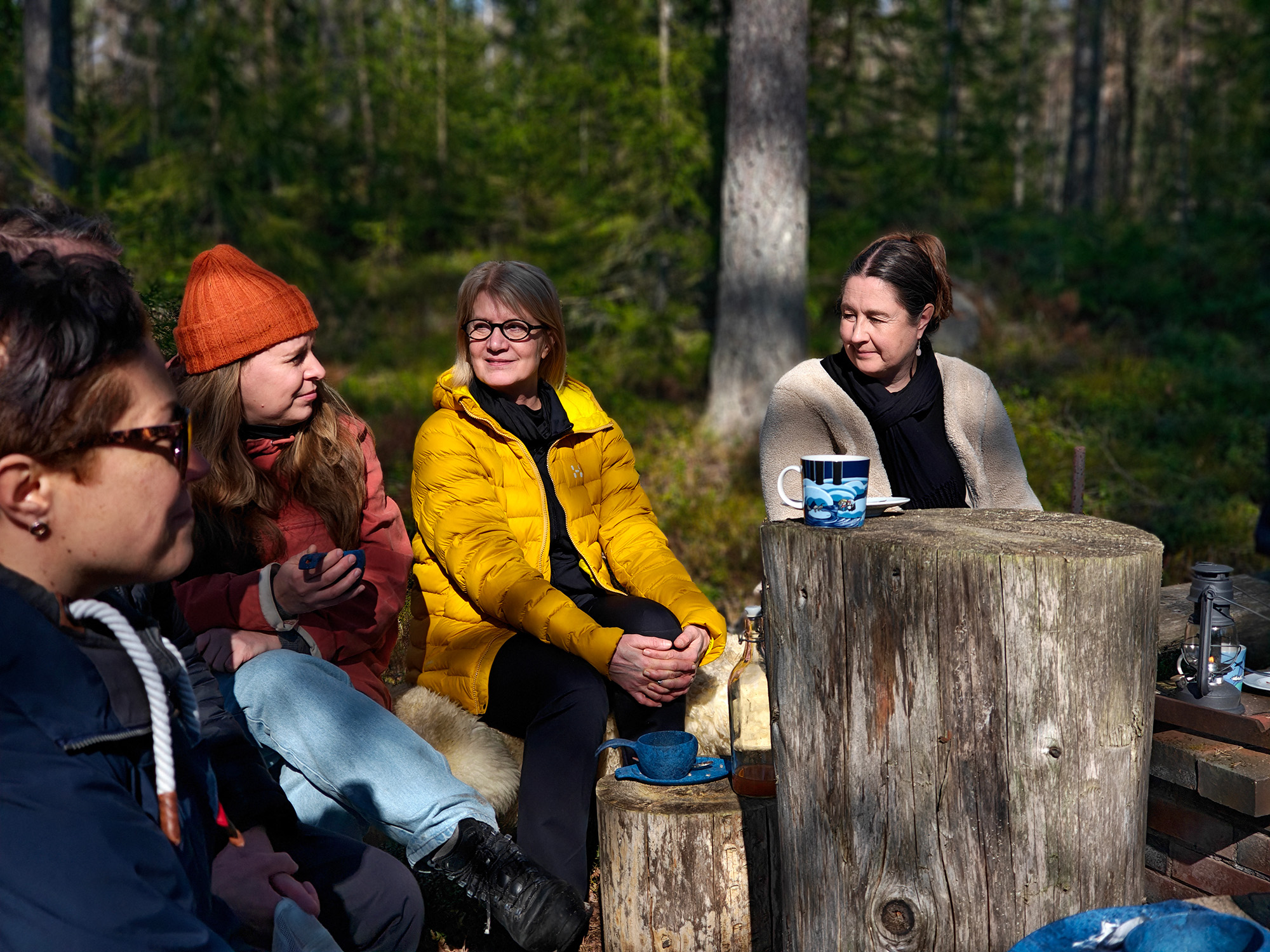 The City of Porvoo – A network that grows like a living system