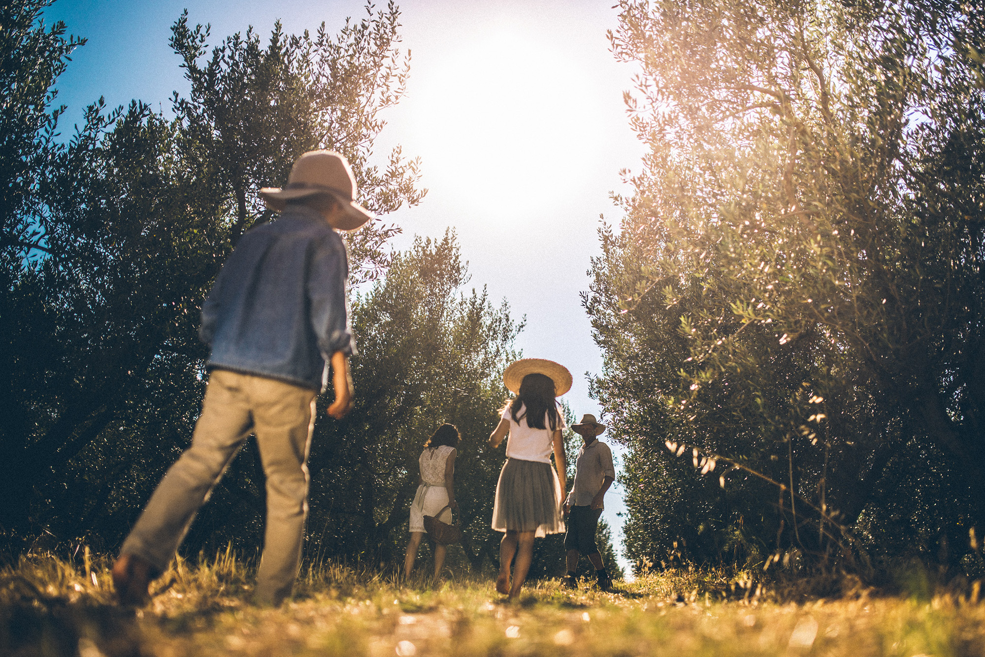 Gramona Farm Olive Tours – Soil, food and people reconnected