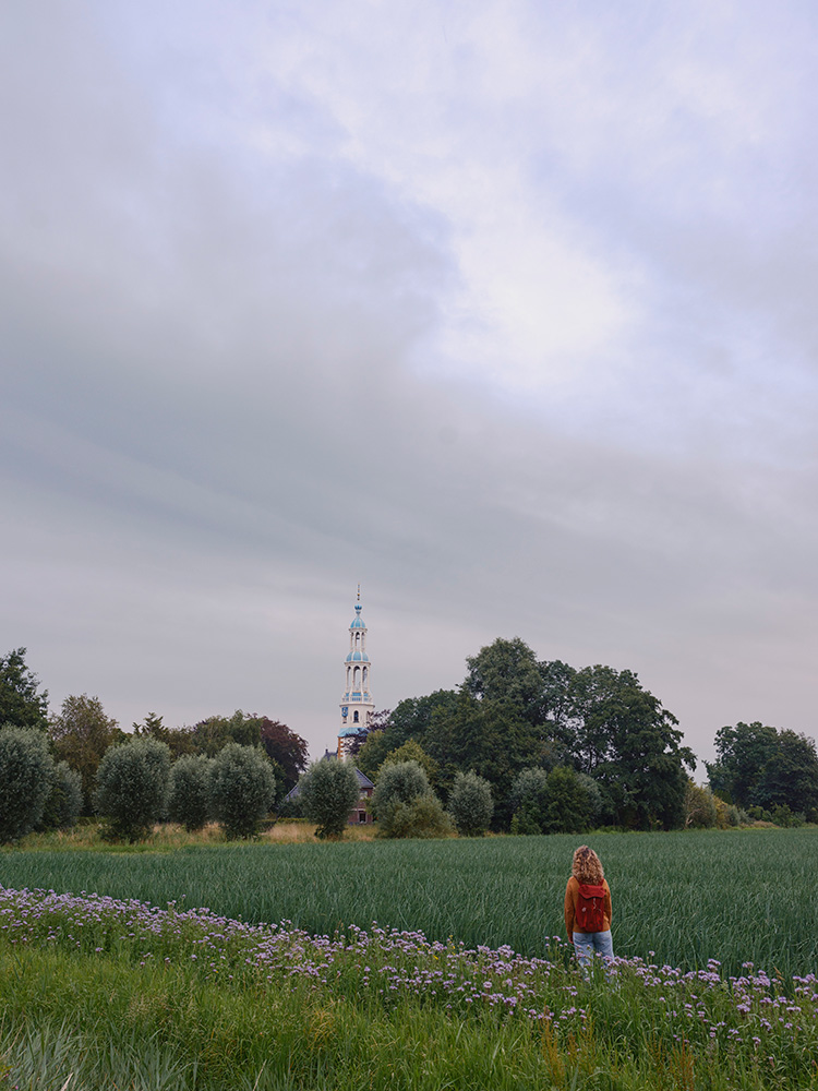 het-ziltepad-image-1