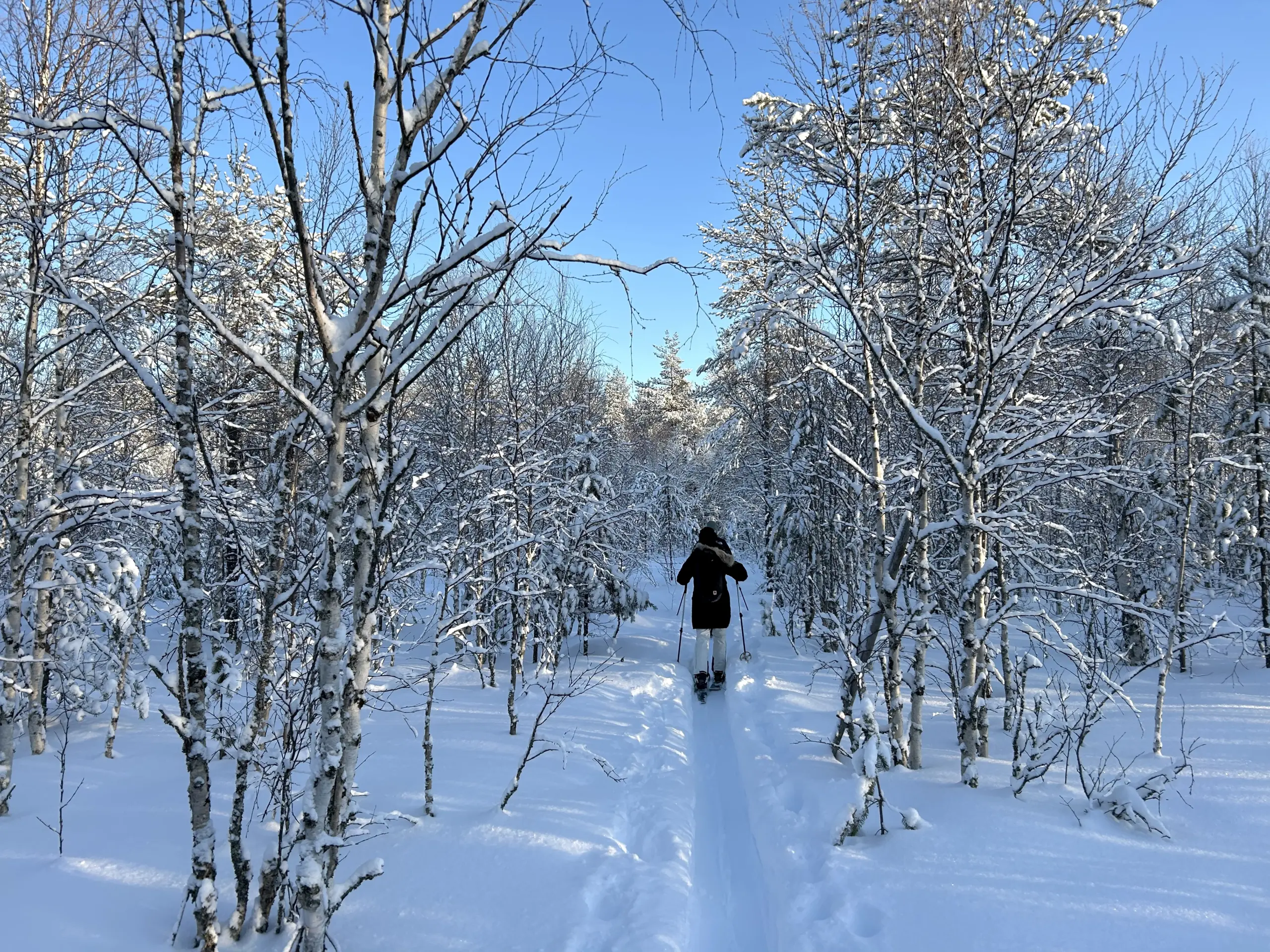 Finland 3