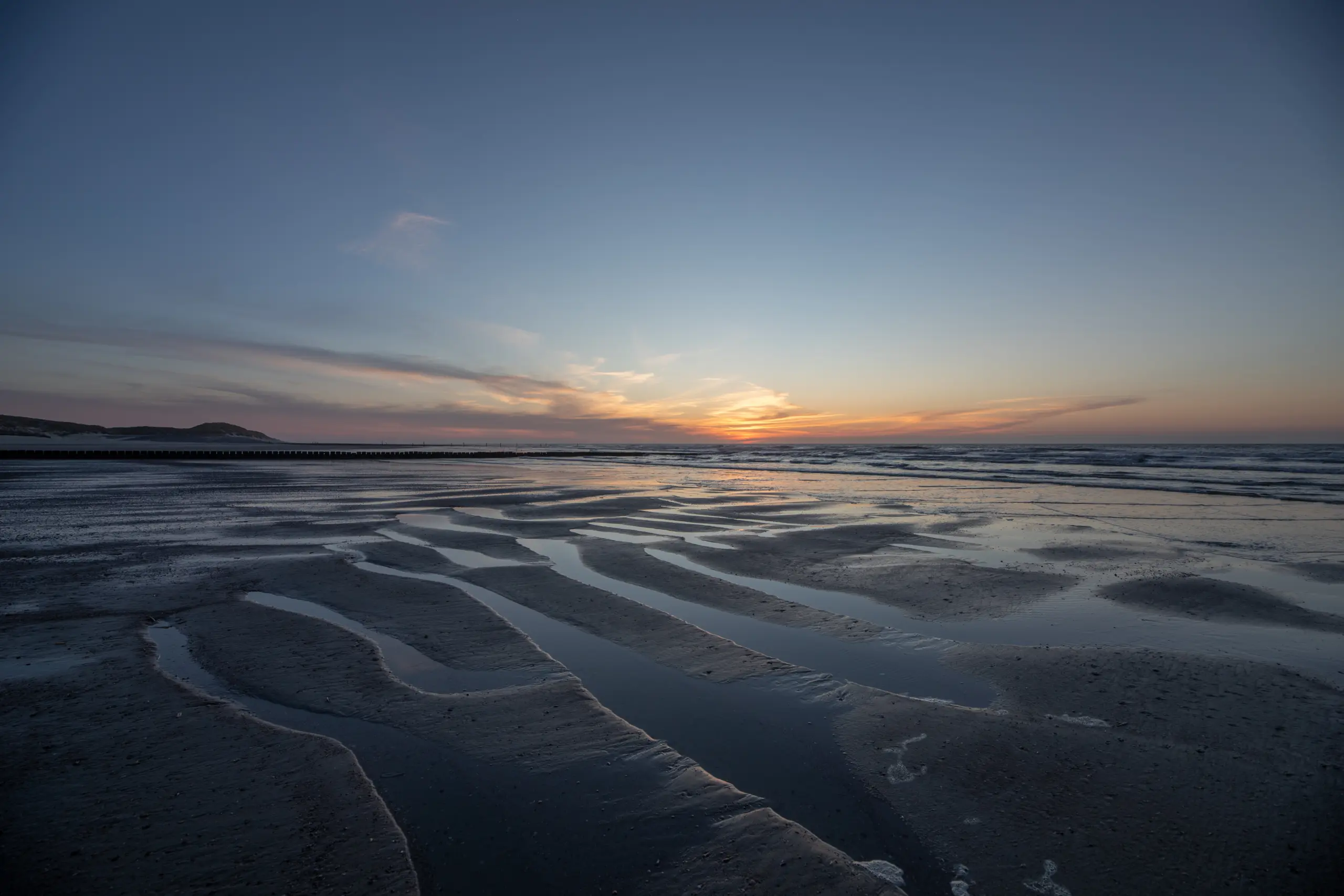 WaddenVisie – Experience the wild, protect the place
