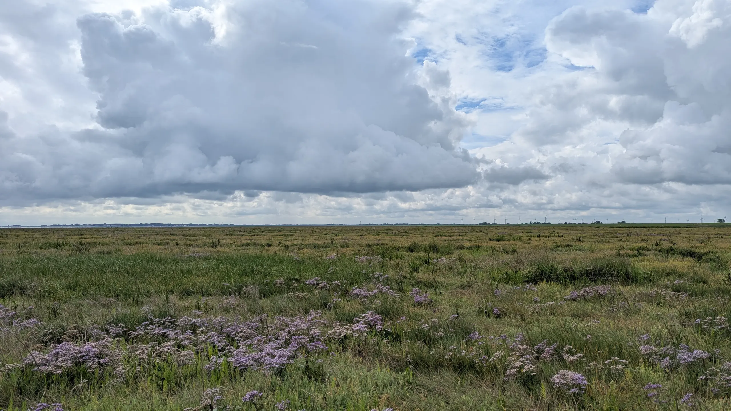 Pressereise_Salzwiese-Windräder_Cäciliengroden_c_Maren_Otto